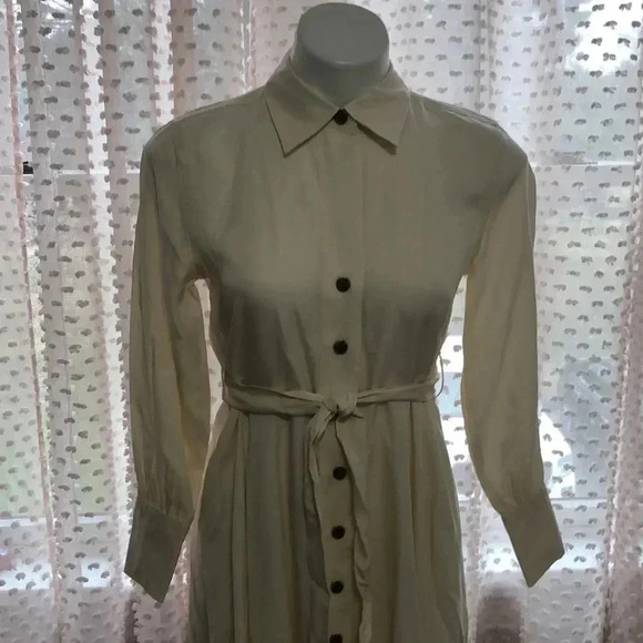 Banana Republic Belted Tencel Shirtdress - Picture 5 of 15